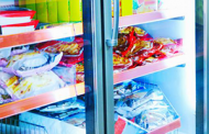 V G Frozen Foodz