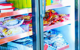 V G Frozen Foodz