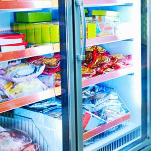V G Frozen Foodz