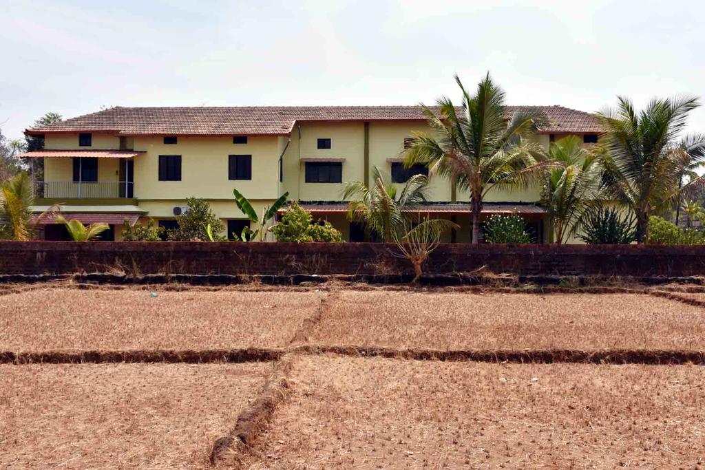 Green Field Guest House
