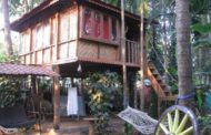 O'Nest Home Stay