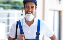 Integrated Pest Management Services