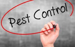 Patanjali Pest Control Systems