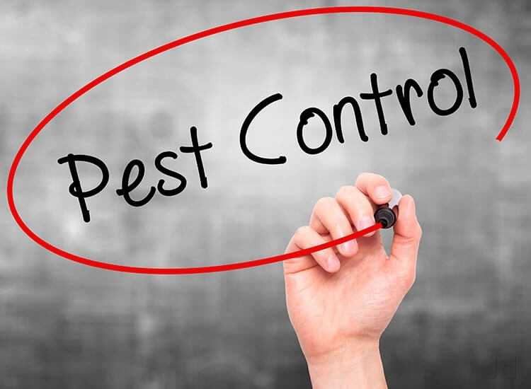 Patanjali Pest Control Systems