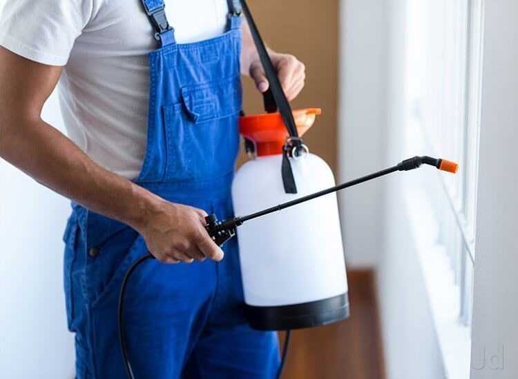 Geo Pest Control