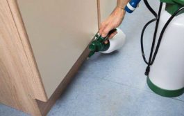 Green Solutions Pest Control Services